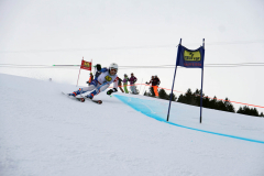 OSSV TELE TOP-Cup 2019 - 7731