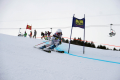 OSSV TELE TOP-Cup 2019 - 7733