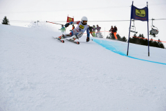 OSSV TELE TOP-Cup 2019 - 7734