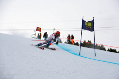 OSSV TELE TOP-Cup 2019 - 7742