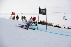 OSSV TELE TOP-Cup 2019 - 7743