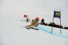 OSSV TELE TOP-Cup 2019 - 7793