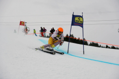 OSSV TELE TOP-Cup 2019 - 7794