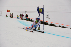 OSSV TELE TOP-Cup 2019 - 7801