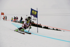 OSSV TELE TOP-Cup 2019 - 7806