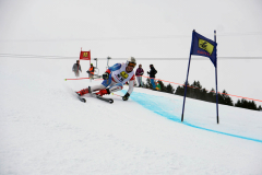 OSSV TELE TOP-Cup 2019 - 7822