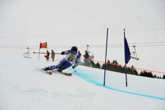 OSSV TELE TOP-Cup 2019 - 7827