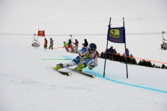 OSSV TELE TOP-Cup 2019 - 7834