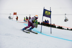 OSSV TELE TOP-Cup 2019 - 7840