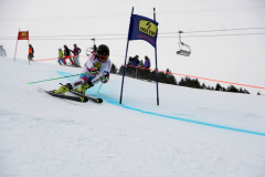OSSV TELE TOP-Cup 2019 - 7847