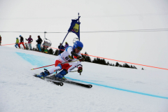 OSSV TELE TOP-Cup 2019 - 7852