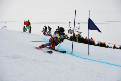 OSSV TELE TOP-Cup 2019 - 7860