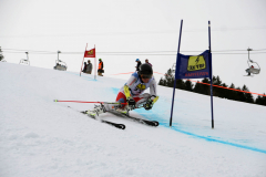 OSSV TELE TOP-Cup 2019 - 7874