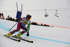 OSSV TELE TOP-Cup 2019 - 7878