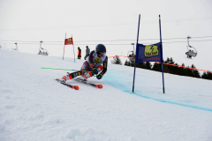 OSSV TELE TOP-Cup 2019 - 7921