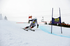 OSSV TELE TOP-Cup 2019 - 7924