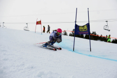 OSSV TELE TOP-Cup 2019 - 7928