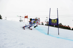 OSSV TELE TOP-Cup 2019 - 7935
