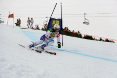 OSSV TELE TOP-Cup 2019 - 7937