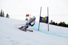 OSSV TELE TOP-Cup 2019 - 7950
