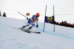 OSSV TELE TOP-Cup 2019 - 7965