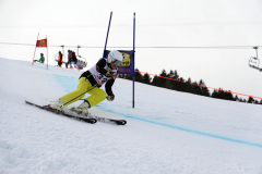 OSSV TELE TOP-Cup 2019 - 7975