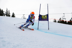 OSSV TELE TOP-Cup 2019 - 7977