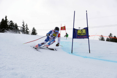 OSSV TELE TOP-Cup 2019 - 7980