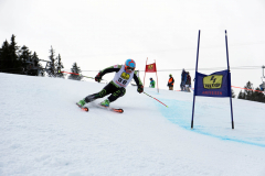 OSSV TELE TOP-Cup 2019 - 7992