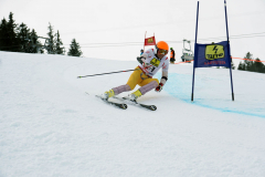 OSSV TELE TOP-Cup 2019 - 8005