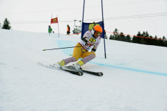 OSSV TELE TOP-Cup 2019 - 8006