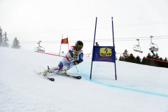 OSSV TELE TOP-Cup 2019 - 8012