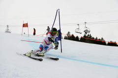 OSSV TELE TOP-Cup 2019 - 8013