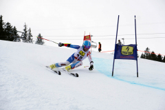 OSSV TELE TOP-Cup 2019 - 8014