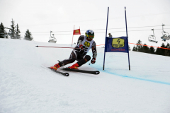 OSSV TELE TOP-Cup 2019 - 8017