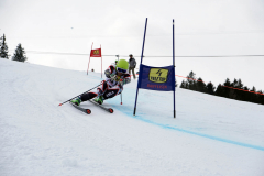 OSSV TELE TOP-Cup 2019 - 8022