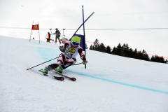 OSSV TELE TOP-Cup 2019 - 8023