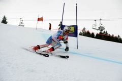 OSSV TELE TOP-Cup 2019 - 8032