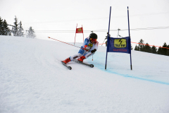 OSSV TELE TOP-Cup 2019 - 8036