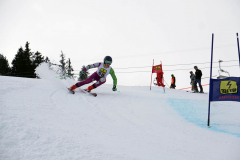 OSSV TELE TOP-Cup 2019 - 8051