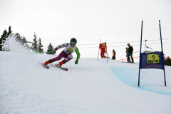 OSSV TELE TOP-Cup 2019 - 8052