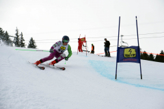 OSSV TELE TOP-Cup 2019 - 8053