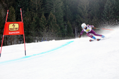 OSSV TELE TOP-Cup 2019 - 8096