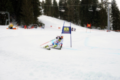 OSSV TELE TOP-Cup 2019 - 8114