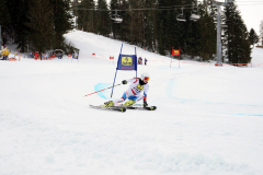 OSSV TELE TOP-Cup 2019 - 8115