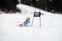 OSSV TELE TOP-Cup 2019 - 8119