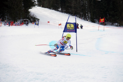 OSSV TELE TOP-Cup 2019 - 8120