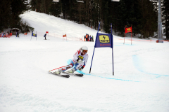 OSSV TELE TOP-Cup 2019 - 8121