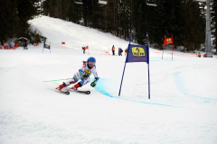 OSSV TELE TOP-Cup 2019 - 8123