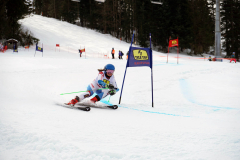 OSSV TELE TOP-Cup 2019 - 8124